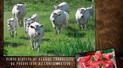 Sans-titre-1